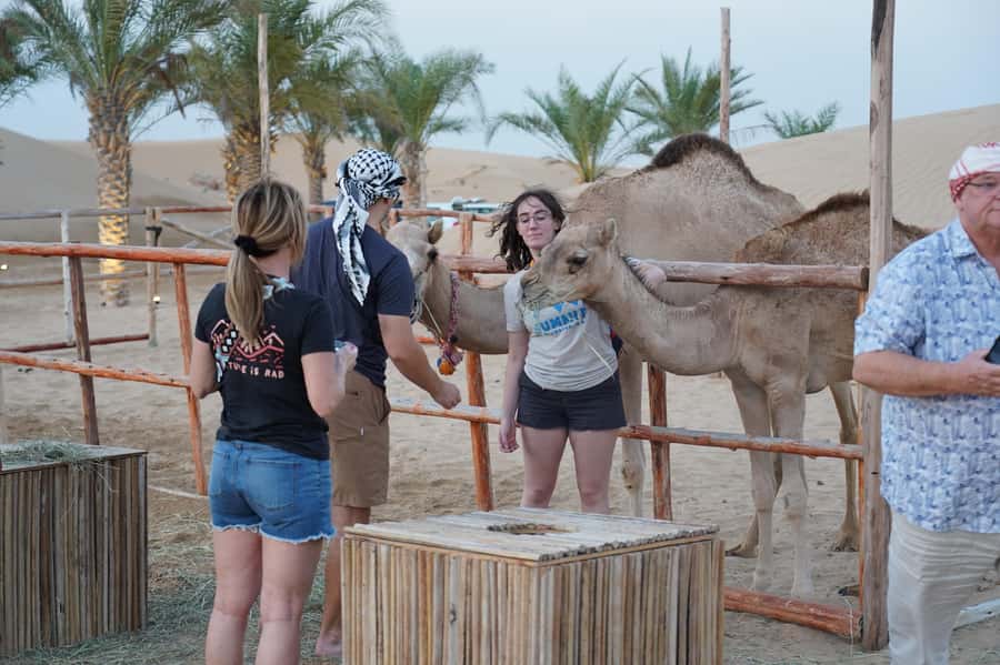 Dubai: Red Dune Desert Safari, Quad Bike, Camels, and BBQ - The 7-hour camp and BBQ dinner