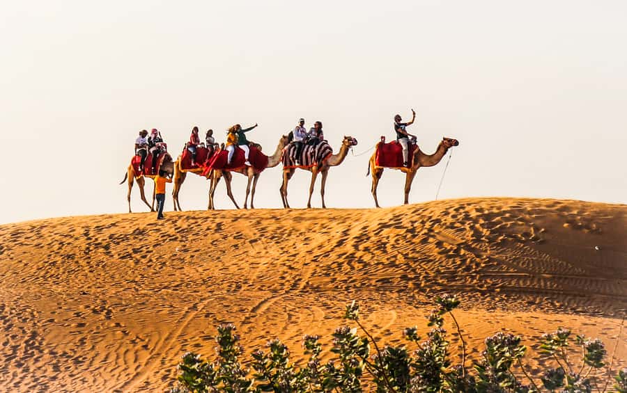 Dubai: Red Dune Safari, Quad Bike, Camel Ride, BBQ Dinner - A useful stop before the sand