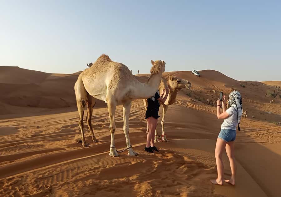 Dubai: Red Dunes Morning Desert Quad, Buggy or 4x4 Ride - Breakfast, water, and what $29 really buys