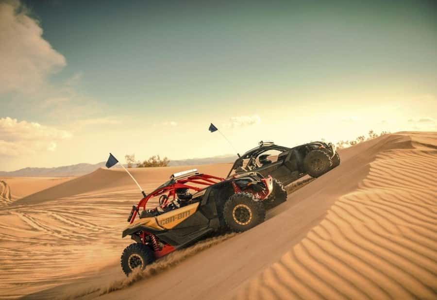 Dubai: Red Dunes Quad Bike, Dune Buggy, Camel & Refreshments - Red dunes and hands-on desert driving
