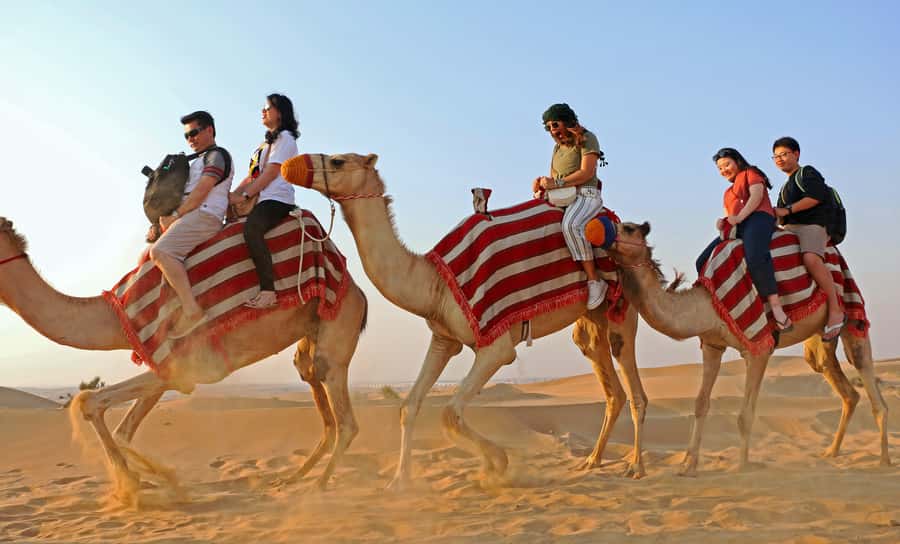 Dubai: Red Dunes Quad Bike with Sandboarding, Camels and BBQ - Who should book this desert day?