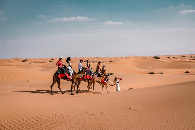 Dubai Red Dunes Safari: Dune Bashing, Camel Ride & Breakfast - Wildlife inside the Dubai Desert Conservation Reserve