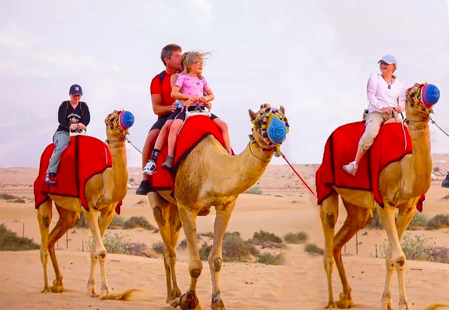 Dubai: Safari, Quad Bike, Camel Ride, and Buffet Dinner - Sandboarding and the best photo stop