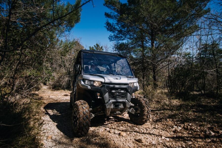 Dubrovnik: Private Panoramic Half-Day Buggy Tour with Brunch - Who Will Enjoy This Four-Hour Outing?