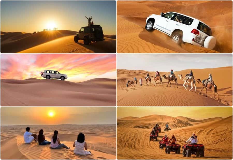 Dune Bashing &Beyond The Ultimate Desert Safari From Doha - Guides, safety, and comfort
