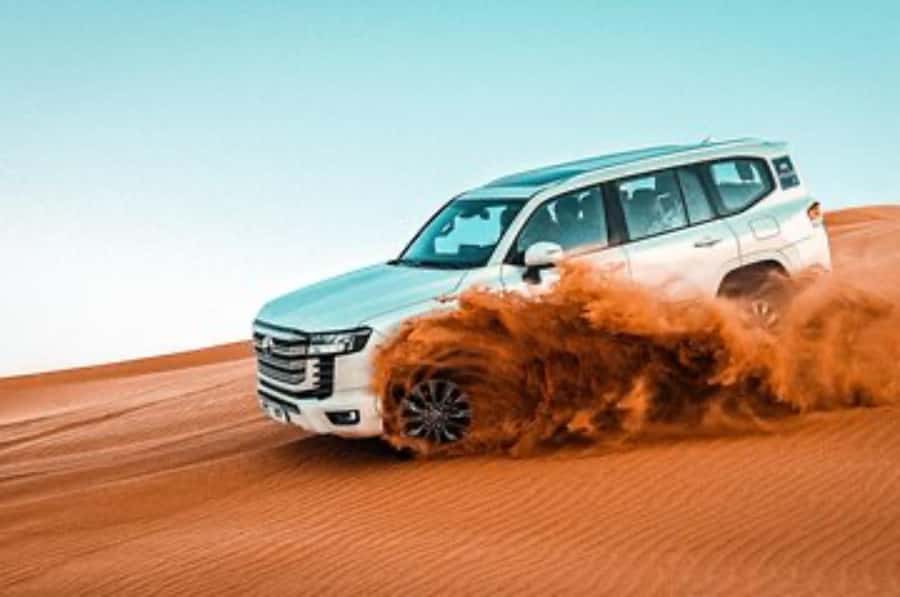 Dune Bashing &Beyond The Ultimate Desert Safari From Doha - Camel riding and the Arabian touch