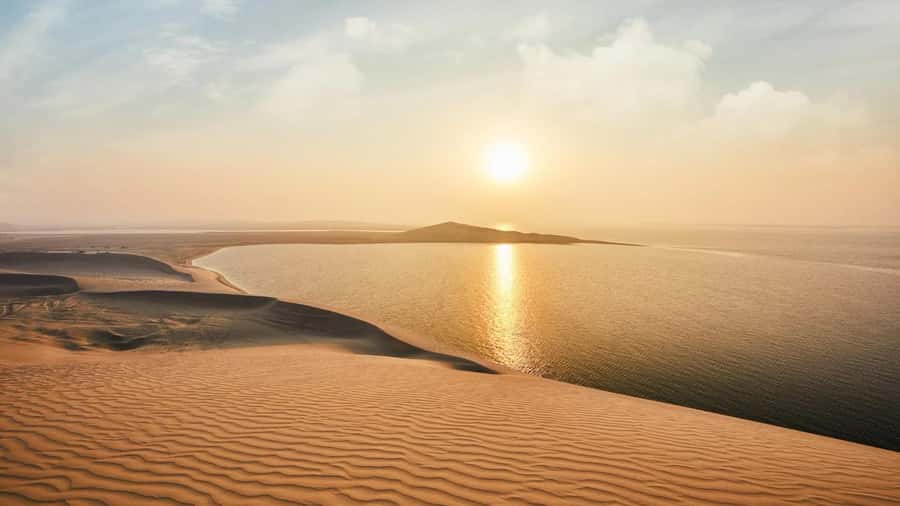Dune Bashing &Beyond The Ultimate Desert Safari From Doha - What the $18 price really buys