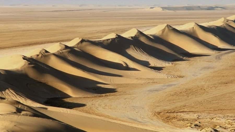 Dune Bashing, Sandboarding, Camel Ride & Optional ATV Ride - The camel camp and a brief taste of desert culture
