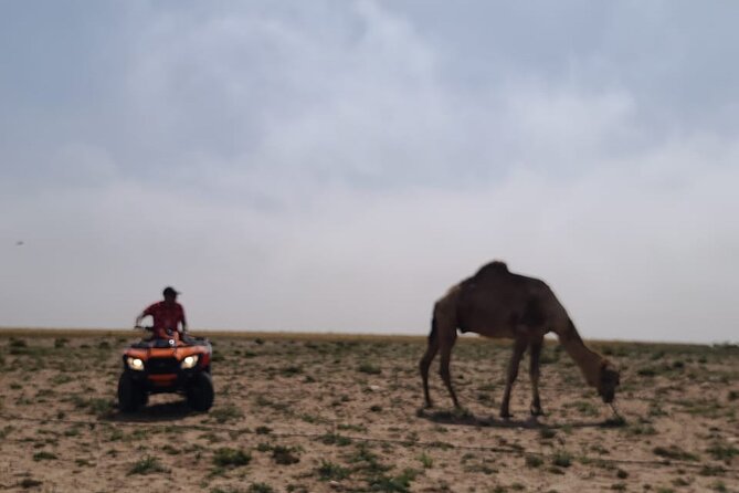 Dunes Quad or Buggy Tour In Agadir - How the transport and timing affect your day