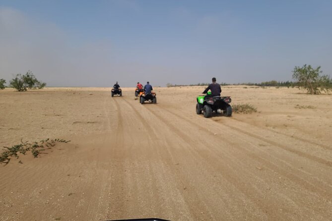 Dunes Quad or Buggy Tour In Agadir - Who will enjoy this ride most?