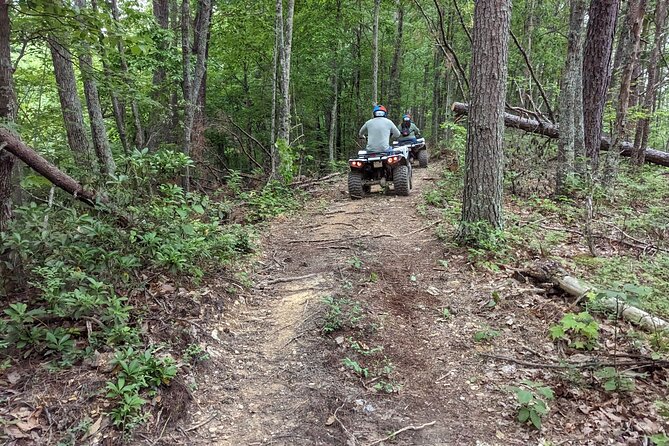 East Tennessee Off Road ATV Guided Experience - Is 75 minutes enough for the price?