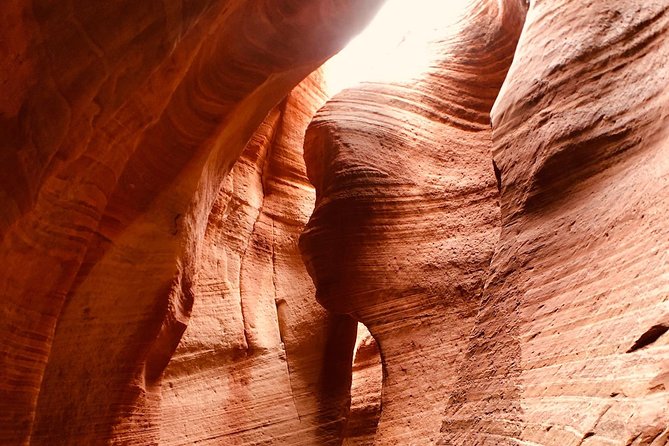 East Zion 4 Hour Slot Canyon Canyoneering UTV Tour - Why the guide makes or breaks the experience