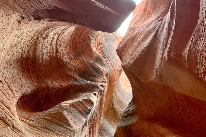 East Zion 4 Hour Slot Canyon Canyoneering UTV Tour - Who should book this East Zion tour?
