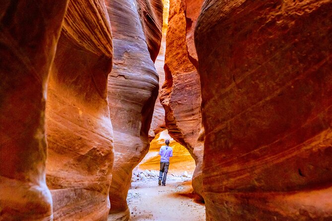 East Zion Crimson Canyon Hike & UTV Adventure - How hard is the climbing?