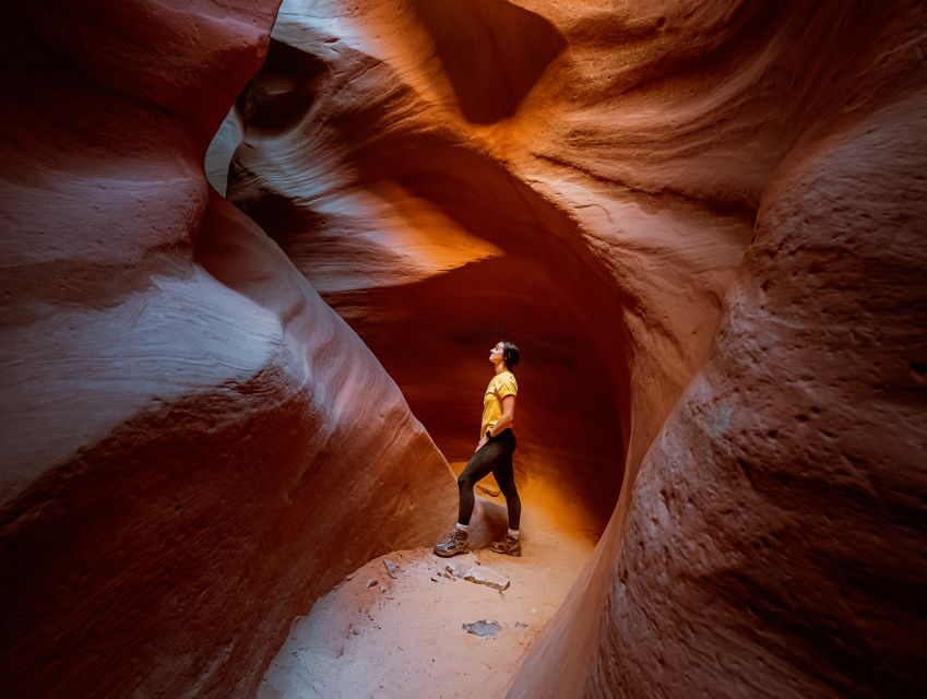 East Zion: Crimson Slot Canyon Exploration and UTV Tour - A UTV ride into East Zion’s backcountry