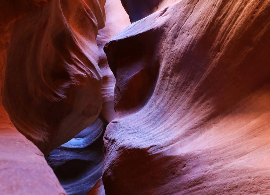 East Zion: Crimson Slot Canyon Exploration and UTV Tour - Practical packing advice for Orderville