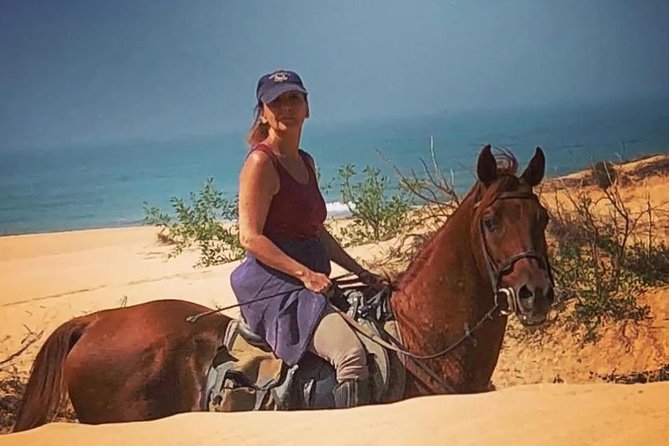 Essaouira Activities: Discover Essaouira by Quad - Horse, camel, or quad: confirm the ride first