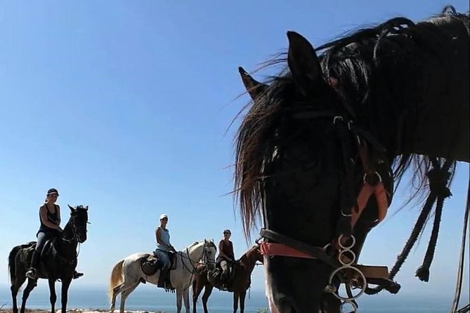 Essaouira Activities: Discover Essaouira by Quad - Dunes, argan trees, and a country of contrasts