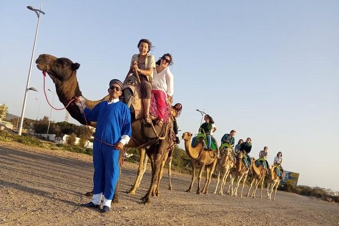 Essaouira Activities: Discover Essaouira by Quad - Price, value, and what is included
