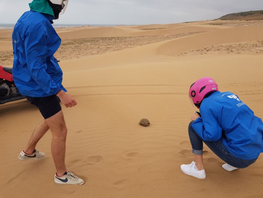 Essaouira P12 : 1h Quad bike tour and 1h dromedary Ride - Cap Sim lighthouse and Sidi Kaouki