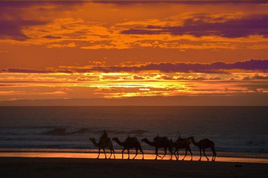 Essaouira P12 : 1h Quad bike tour and 1h dromedary Ride - Is $64 a fair price?