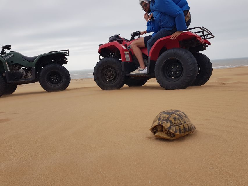 Essaouira P12 : 1h Quad bike tour and 1h dromedary Ride - Getting comfortable on the quad