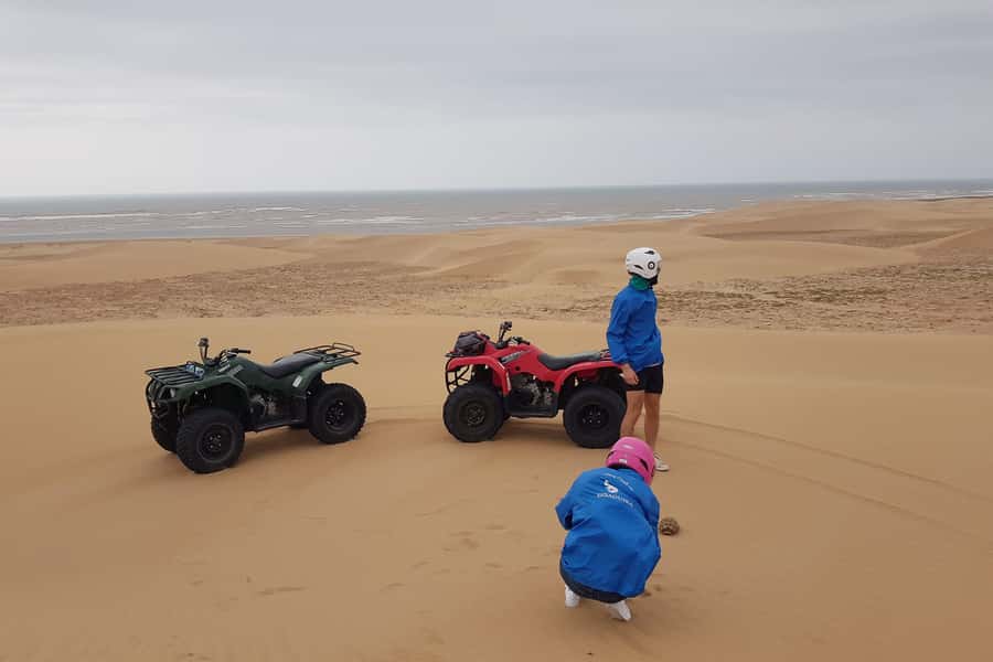 Essaouira P3: Quad tour forest beach dunes (free transfer) - Riding South from Essaouira