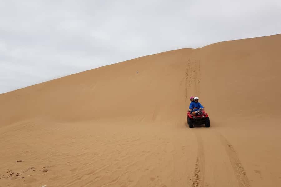 Essaouira P3: Quad tour forest beach dunes (free transfer) - Is $37 a Good Price?