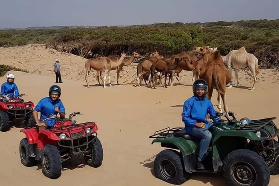 Essaouira P3: Quad tour forest beach dunes (free transfer) - Who Will Enjoy This Most?