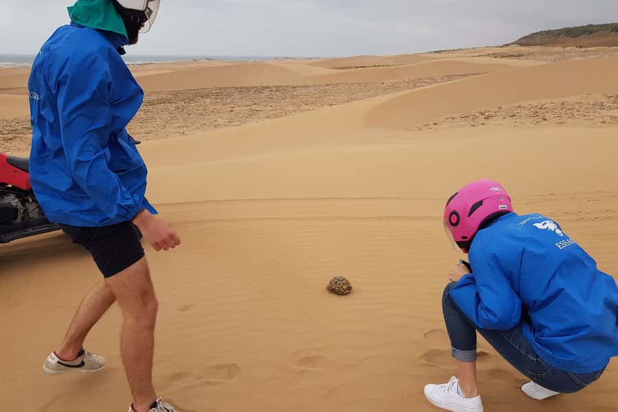 Essaouira P3: Quad tour forest beach dunes (free transfer) - Dar Sultan Palace and Bourj El Baroud