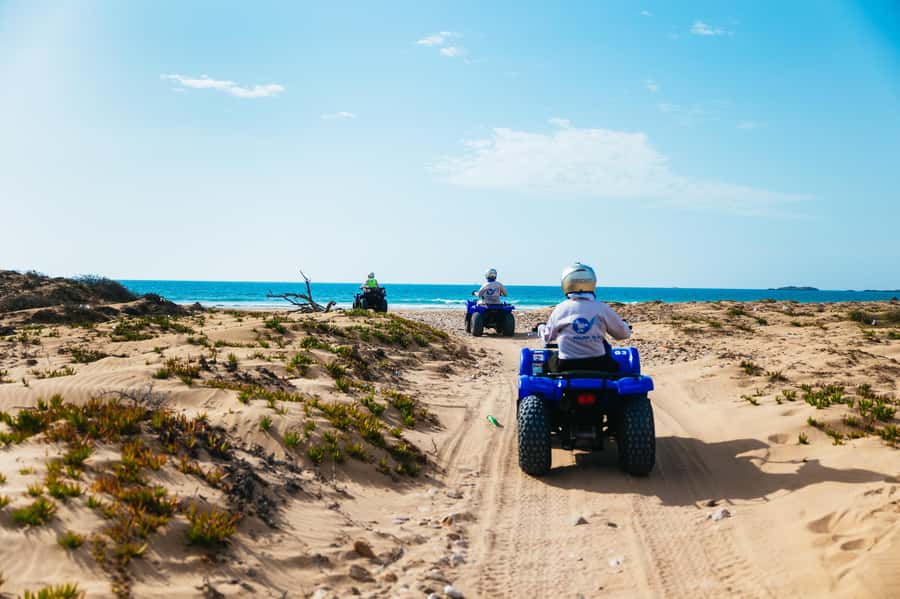 Essaouira Sand Dunes: Half Day Quad Bike Tour - Who should book this quad tour?