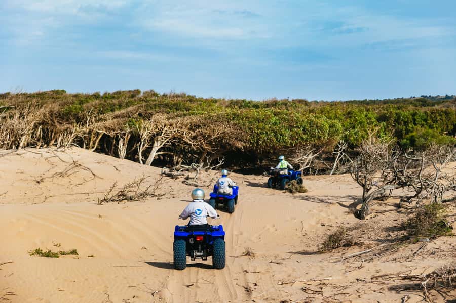 Essaouira Sand Dunes: Half Day Quad Bike Tour - Beach riding and the route toward Diabat