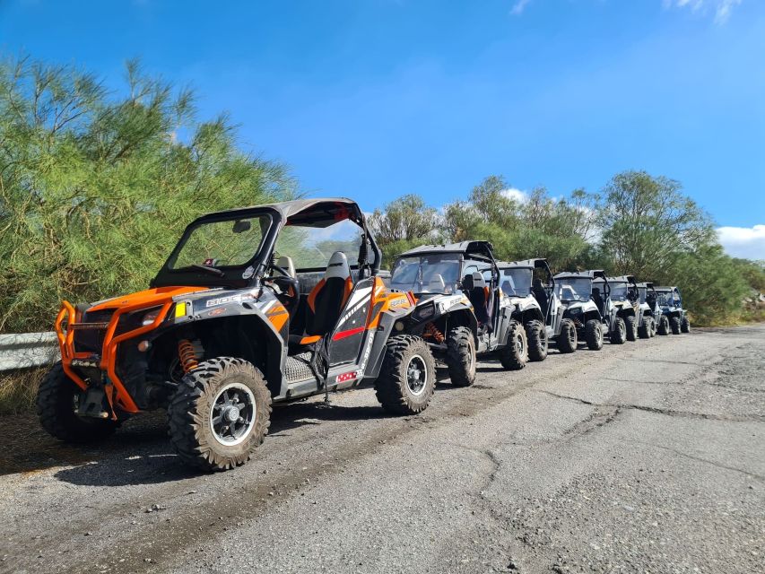Etna Buggy 4x4 Tour - Should you book the Etna Buggy 4x4 Tour?