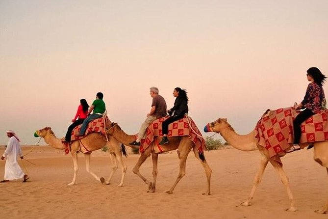 Evening Desert Adventure: Quad Biking, Sandboarding & Camel Ride - From Dubai pickup to the red dunes of Lahbab