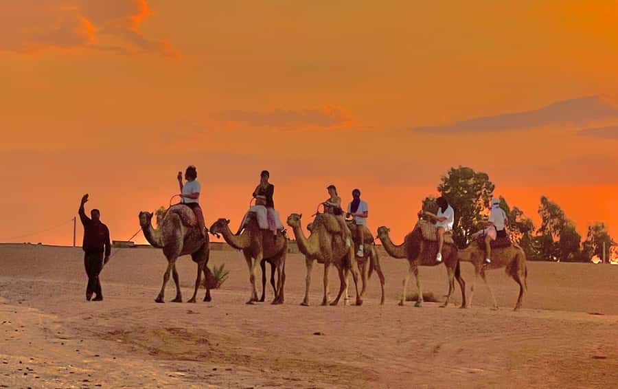 Evening Marrakech: Agafay Desert Quad , Camel & Dinner Shows - Who should book this evening