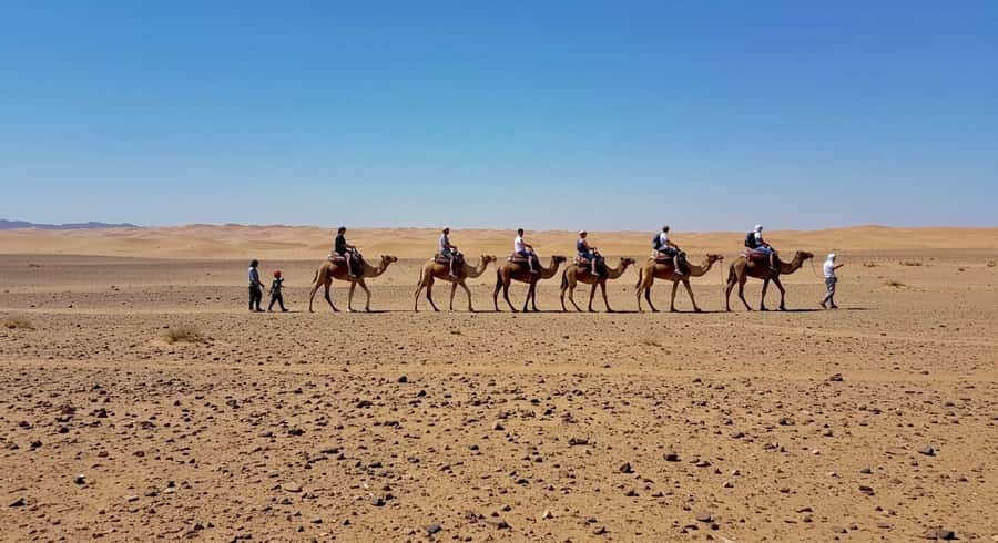 Evening Marrakech: Agafay Desert Quad , Camel & Dinner Shows - Dinner at the camp with music and fire