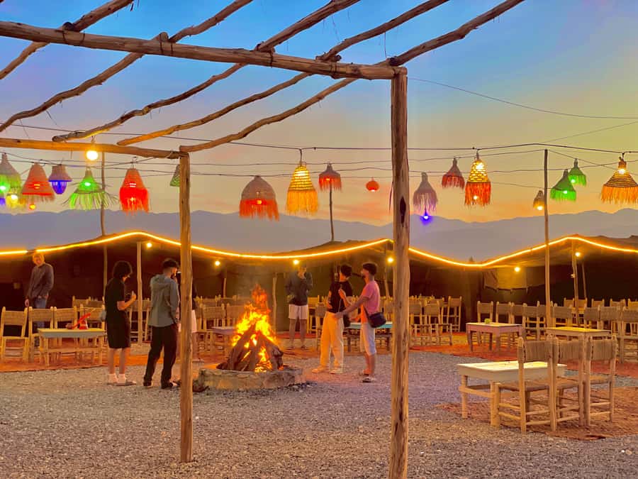 Evening Marrakech: Agafay Desert Quad , Camel & Dinner Shows - A brief stop at the argan oil cooperative