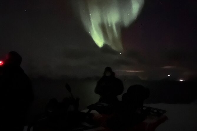 Evening Tour and Aurora Borealis Sightseeing in Norway by ATV - Is $257.24 a fair price?