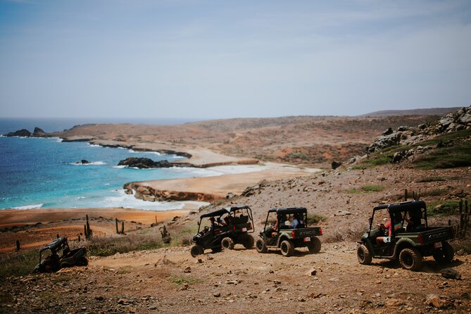 Exclusive Aruba UTV Tours - Key points to know before you book