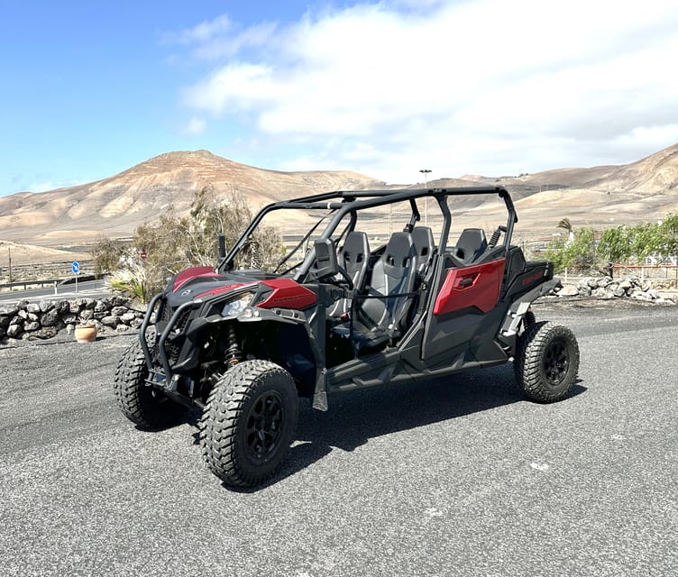 Family buggy - 4 seats, on road tour - La Geria, vineyards, and a more relaxed pause