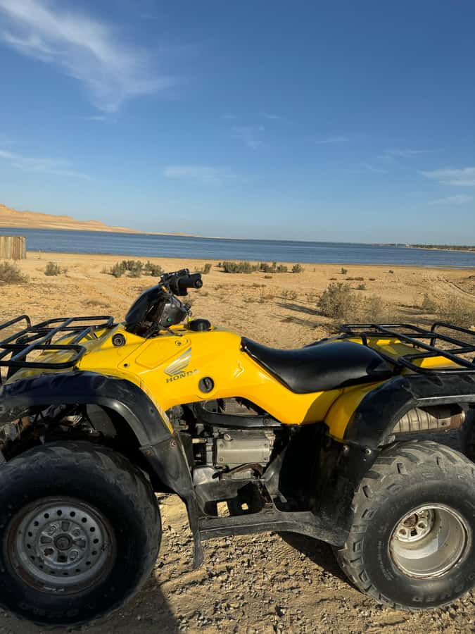 Fayoum: Qarun Sahara Safari With( ATV ) Quad bike From Cairo - Should you book it?
