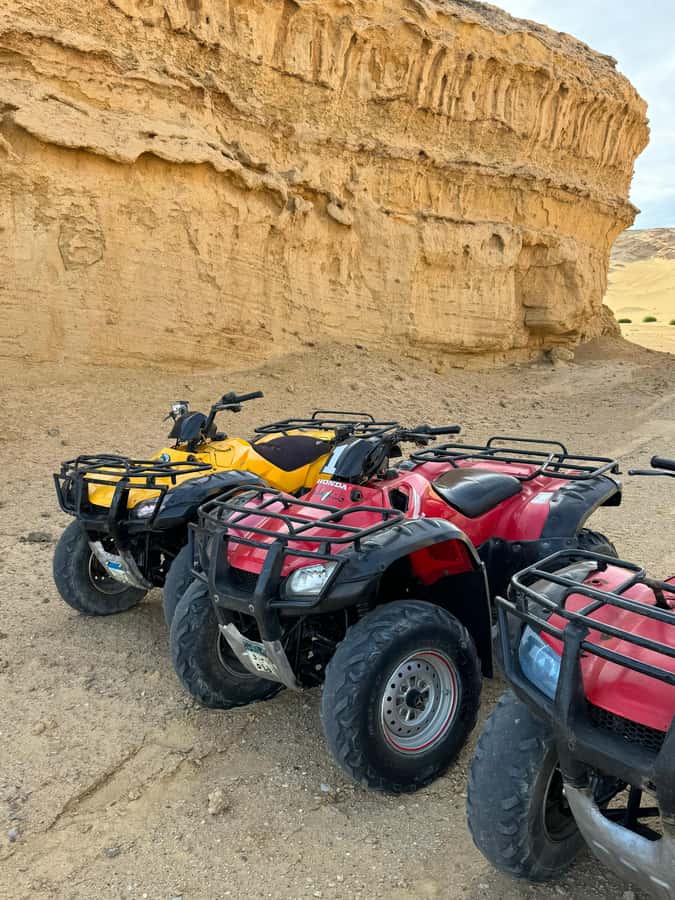 Fayoum: Qarun Sahara Safari With( ATV ) Quad bike From Cairo - Who should book this Fayoum adventure?
