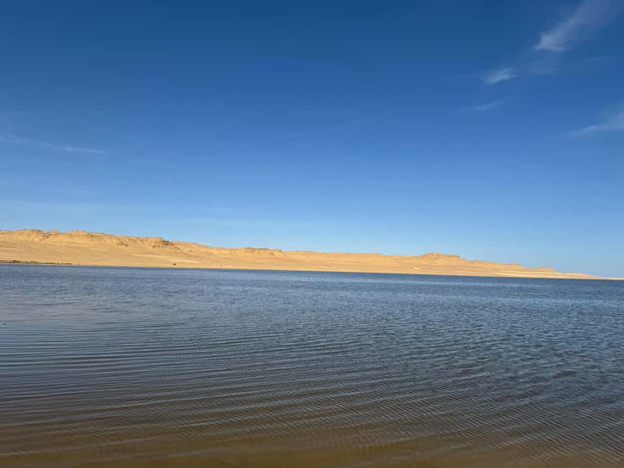 Fayoum: Qarun Sahara Safari With( ATV ) Quad bike From Cairo - Tea, breakfast, and the first look at Qarun Lake