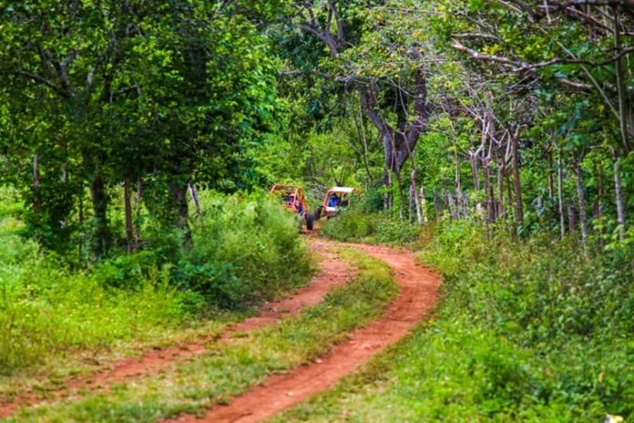 Flintstones Buggy, Cave and Adventure in Bavaro - Coffee and daily life at the local colmado