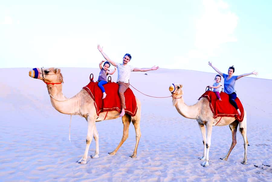 From Abu Dhabi: Dune Bashing Desert Safari - Pickup works well for hotels and cruise terminals