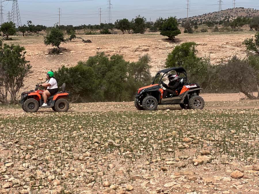 From Agadir/Taghazout: Buggy Safari Adventure & Moroccan Tea - Watching goats climb argan trees