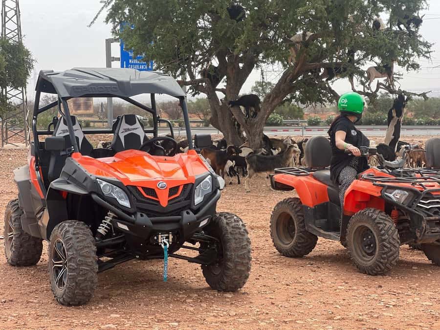 From Agadir/Taghazout: Buggy Safari Adventure & Moroccan Tea - What the $56 price includes