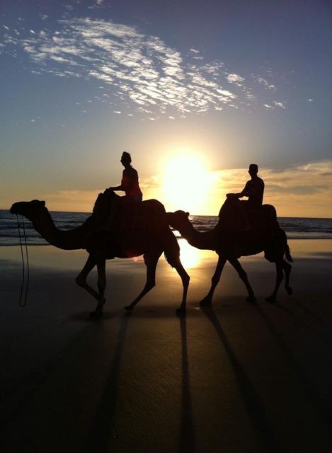 From Agadir/Taghazout: Buggy Safari Adventure & Moroccan Tea - Who should book this experience