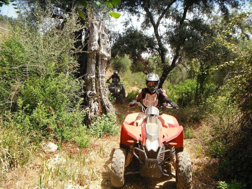 From Albufeira: Paderne Adventure Quad Ride - My advice before you book