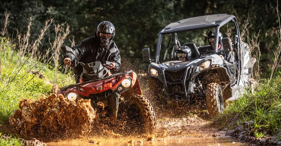 From Almancil: Quad Tour in Algarve Countryside - Almond groves and carob trees